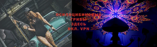 альфа пвп Нефтекумск