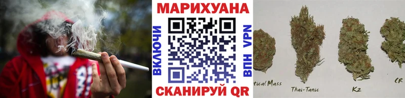 Канабис OG Kush  Купить где  Чистополь 